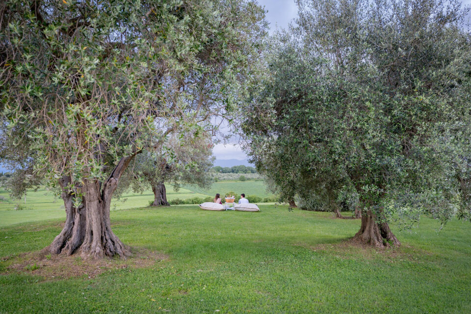 picnic-ulivi-5 picnic-ulivi-5