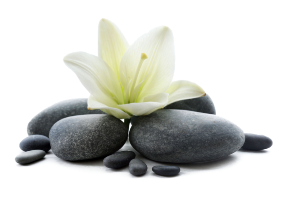 spa-fiore